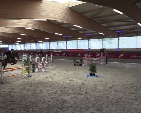 Reitturnier Kaldenkirchen - Gestüt Seehof 2024