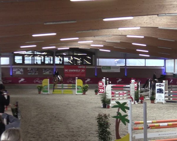 Reitturnier Kaldenkirchen - Gestüt Seehof 2024