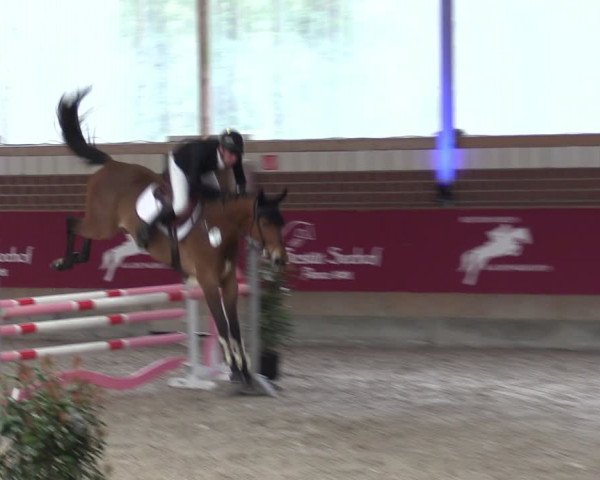 Reitturnier Kaldenkirchen - Gestüt Seehof 2024