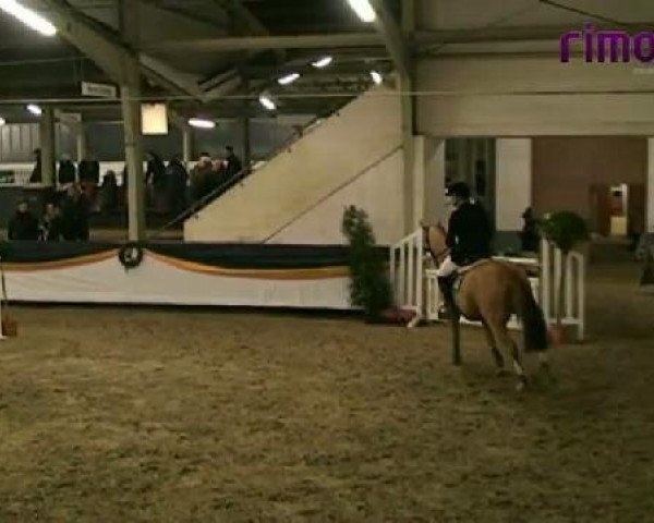 Vreden 2011
