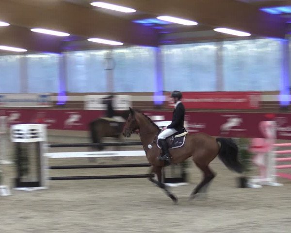 Reitturnier Kaldenkirchen - Gestüt Seehof 2024
