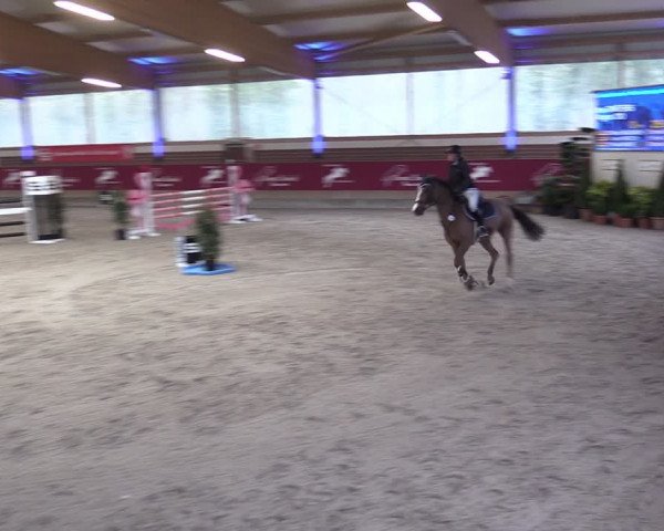 Reitturnier Kaldenkirchen - Gestüt Seehof 2024