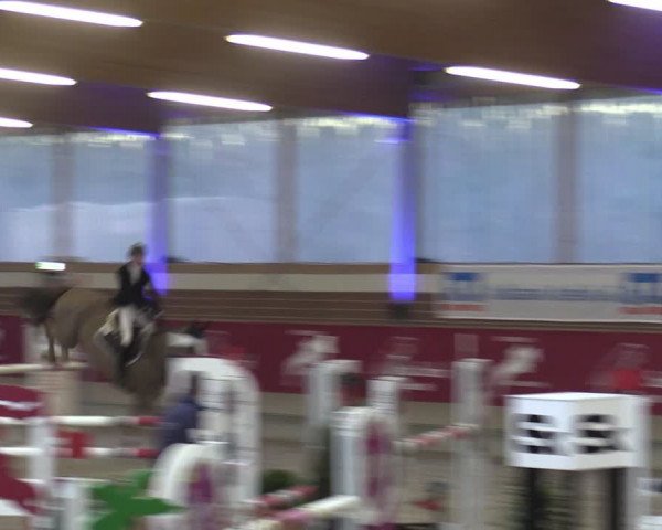 Reitturnier Kaldenkirchen - Gestüt Seehof 2024