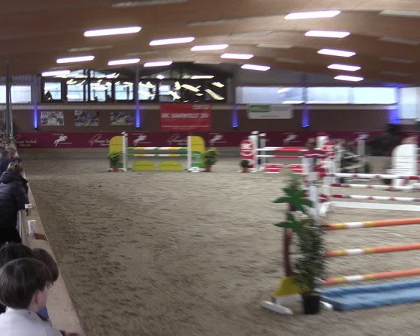 Reitturnier Kaldenkirchen - Gestüt Seehof 2024