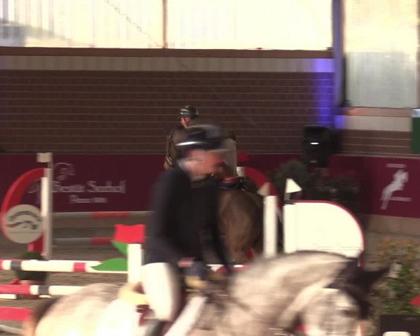 Reitturnier Kaldenkirchen - Gestüt Seehof 2024