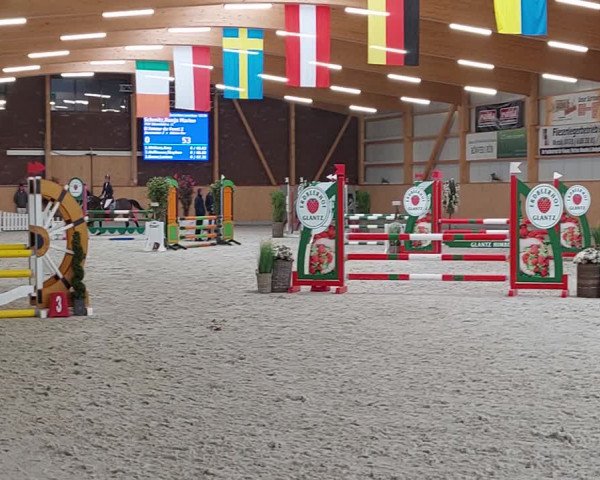 Video of D'Amour du Foret Z