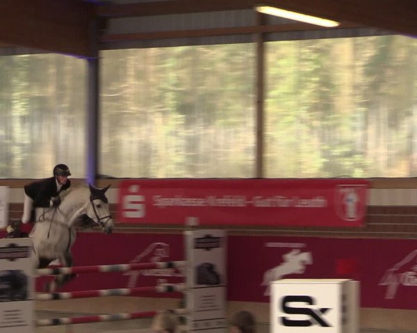 Reitturnier Kaldenkirchen - Gestüt Seehof 2024