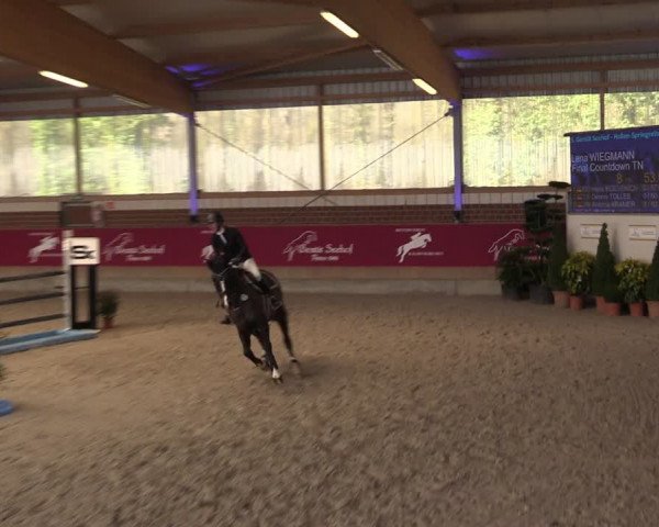 Reitturnier Kaldenkirchen - Gestüt Seehof 2024