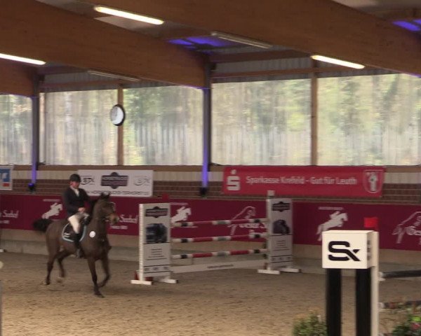 Reitturnier Kaldenkirchen - Gestüt Seehof 2024