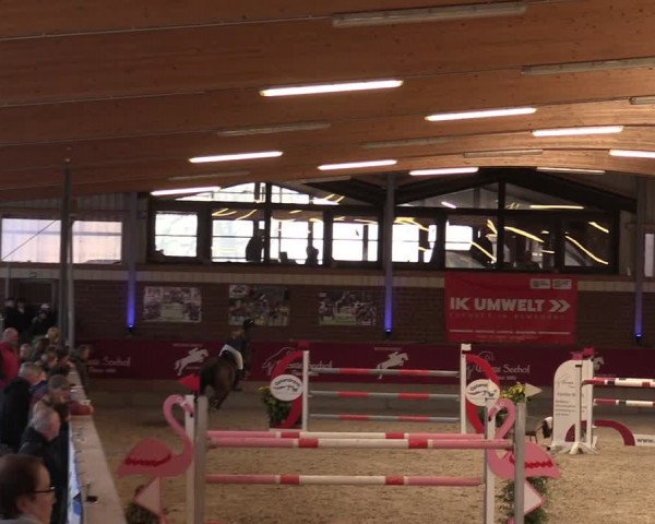Reitturnier Kaldenkirchen - Gestüt Seehof 2024
