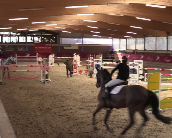 Reitturnier Kaldenkirchen - Gestüt Seehof 2024