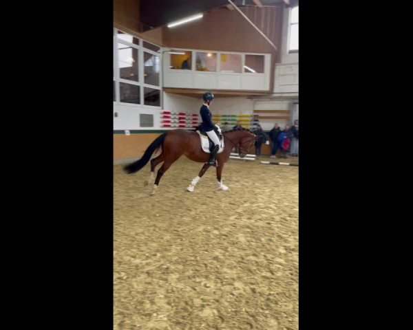 Video von Estelle PS