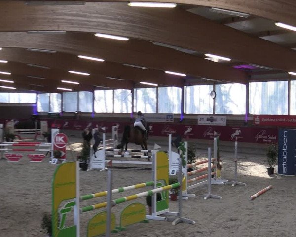 Reitturnier Kaldenkirchen - Gestüt Seehof 2024