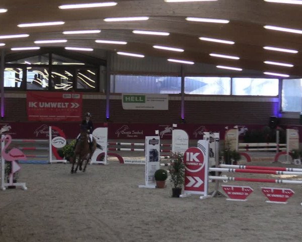 Reitturnier Kaldenkirchen - Gestüt Seehof 2024