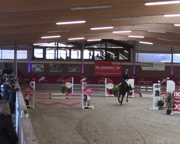 Reitturnier Kaldenkirchen - Gestüt Seehof 2024