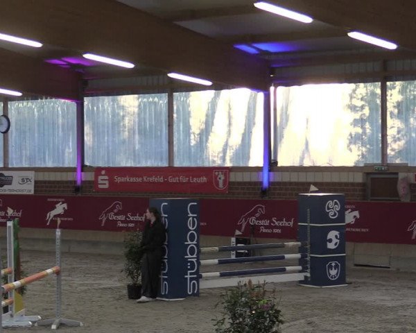 Reitturnier Kaldenkirchen - Gestüt Seehof 2024