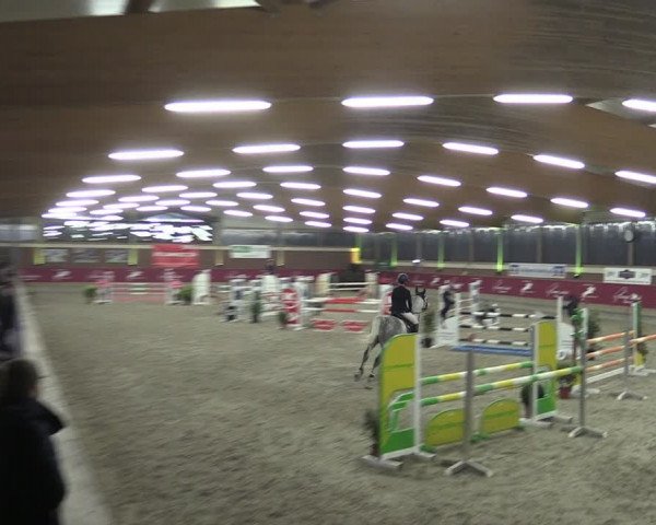 Reitturnier Kaldenkirchen - Gestüt Seehof 2024