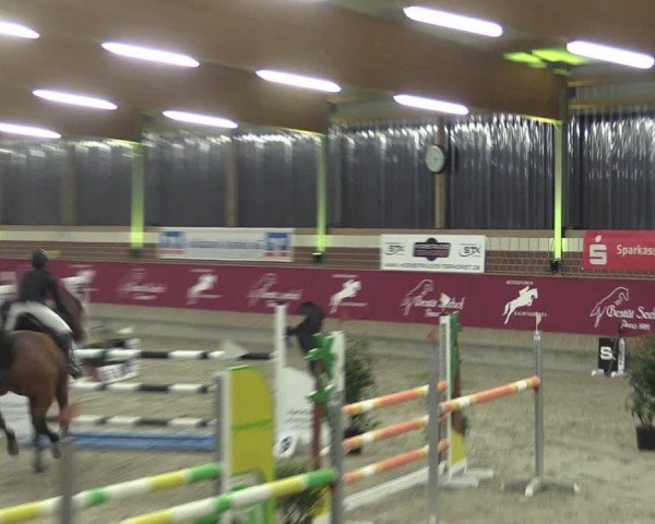 Reitturnier Kaldenkirchen - Gestüt Seehof 2024