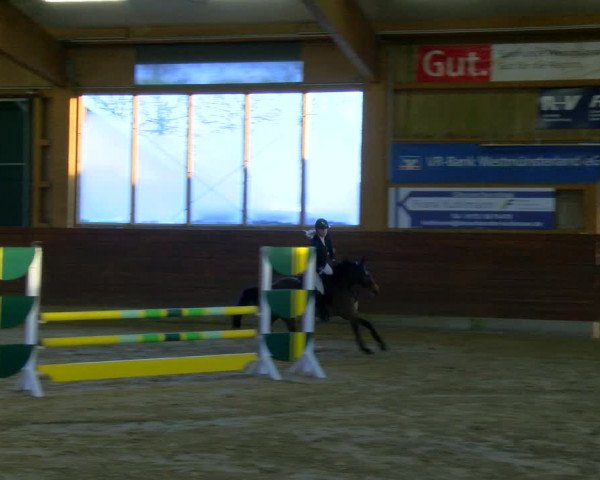Reitturnier Coesfeld-Lette 2024