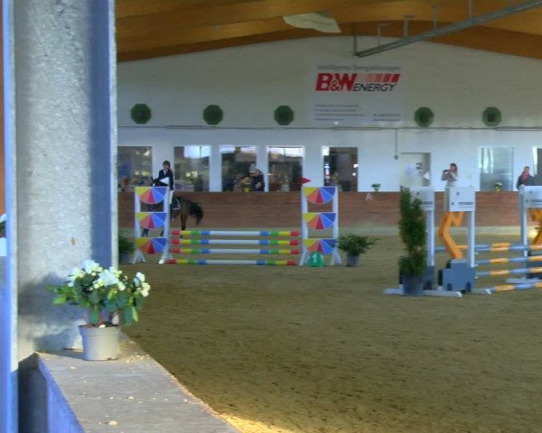 Reitturnier Coesfeld-Lette 2024