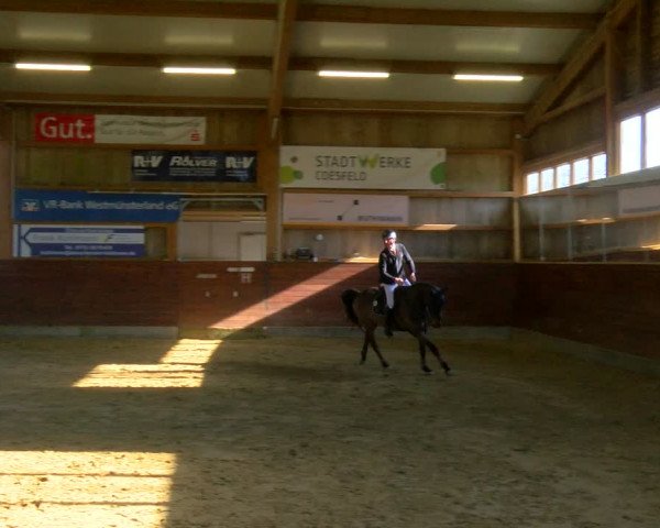 Reitturnier Coesfeld-Lette 2024