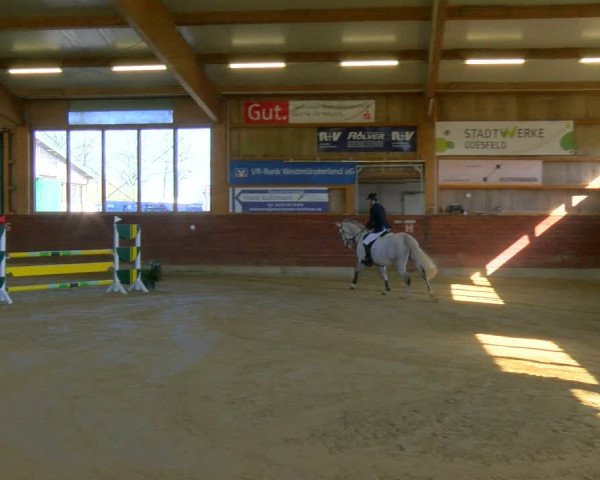 Reitturnier Coesfeld-Lette 2024