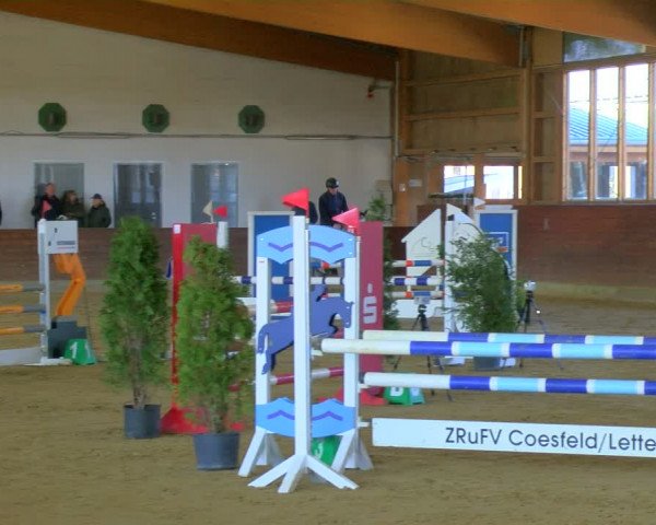 Reitturnier Coesfeld-Lette 2024