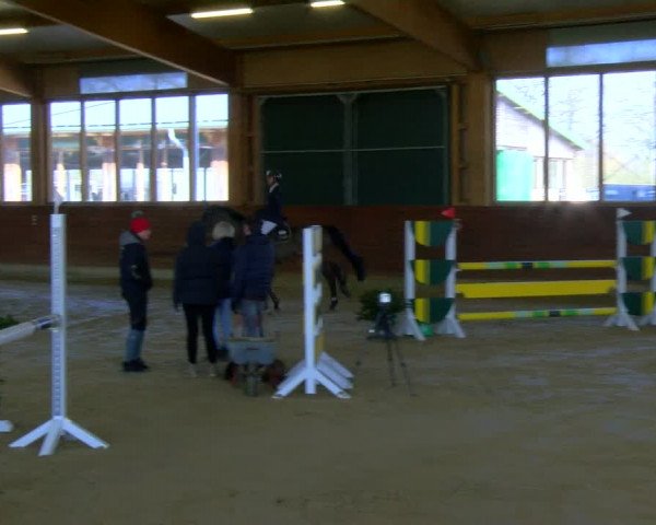 Reitturnier Coesfeld-Lette 2024
