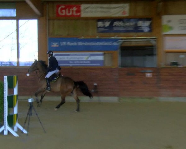 Reitturnier Coesfeld-Lette 2024