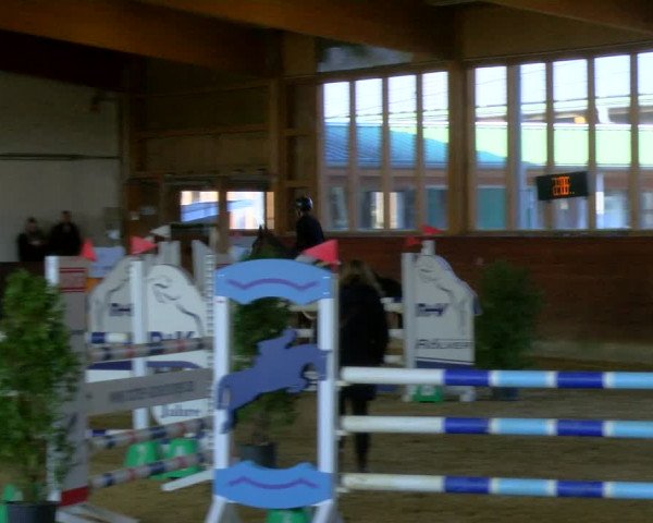 Reitturnier Coesfeld-Lette 2024