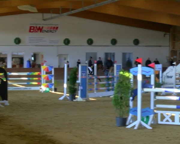 Reitturnier Coesfeld-Lette 2024