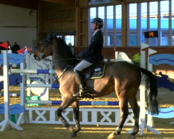 Reitturnier Coesfeld-Lette 2024