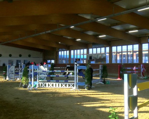 Reitturnier Coesfeld-Lette 2024