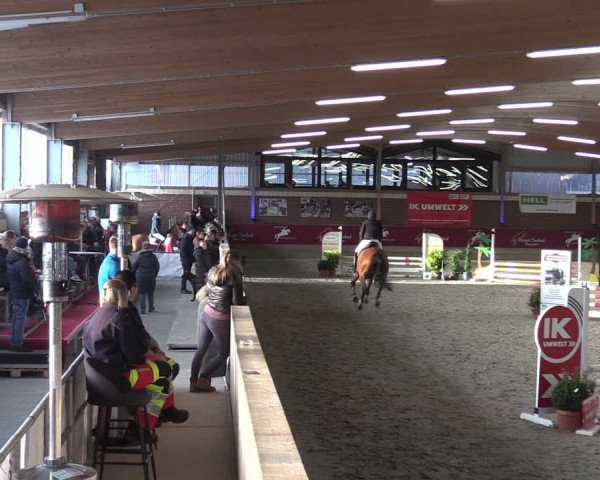 Reitturnier Kaldenkirchen - Gestüt Seehof 2024