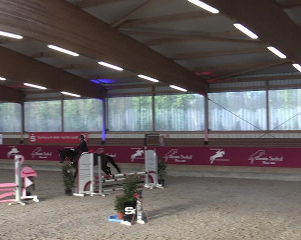 Reitturnier Kaldenkirchen - Gestüt Seehof 2024