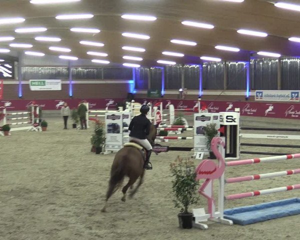Reitturnier Kaldenkirchen - Gestüt Seehof 2024