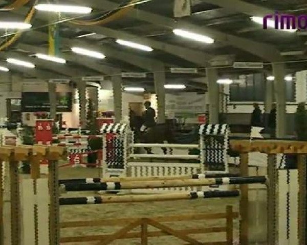 Vreden 2011