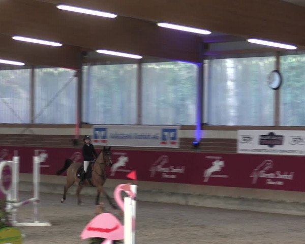 Reitturnier Kaldenkirchen - Gestüt Seehof 2024