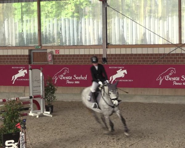 Reitturnier Kaldenkirchen - Gestüt Seehof 2024