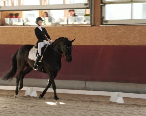 Reitturnier Balingen 2024