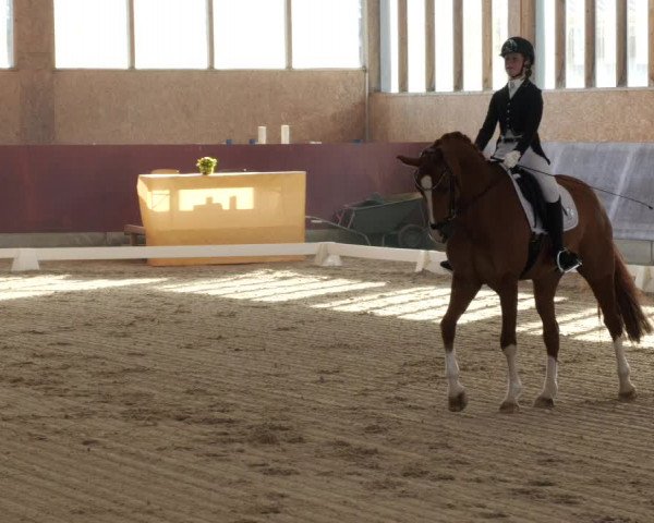Reitturnier Balingen 2024