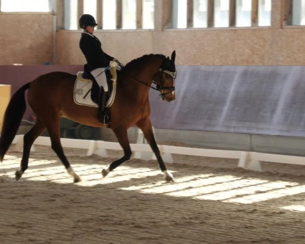 Reitturnier Balingen 2024