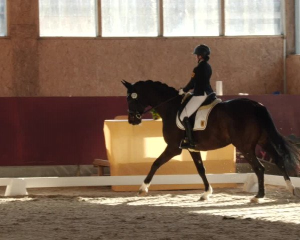 Reitturnier Balingen 2024