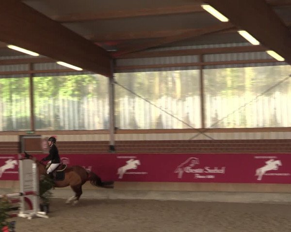 Reitturnier Kaldenkirchen - Gestüt Seehof 2024