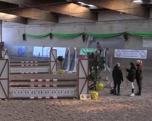 Reitturnier Leverkusen-Rheindorf 2024