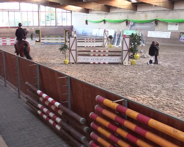 Reitturnier Leverkusen-Rheindorf 2024