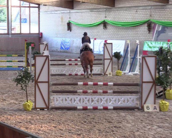 Reitturnier Leverkusen-Rheindorf 2024