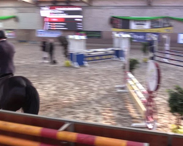 Reitturnier Leverkusen-Rheindorf 2024