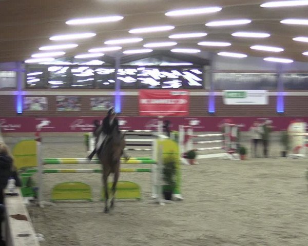 Reitturnier Kaldenkirchen - Gestüt Seehof 2024