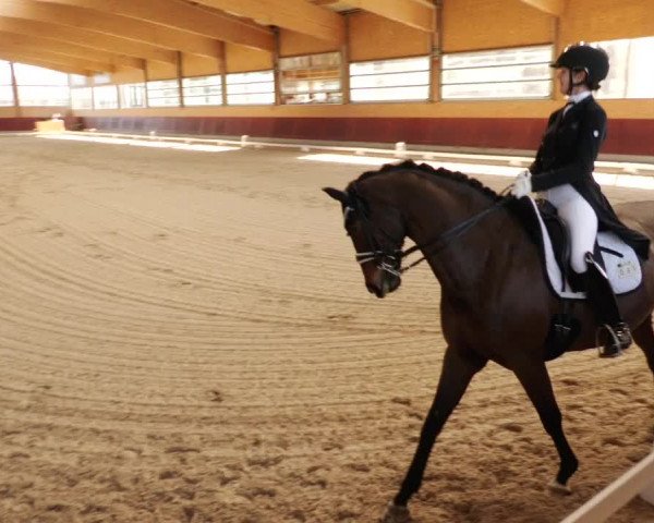 Reitturnier Balingen 2024